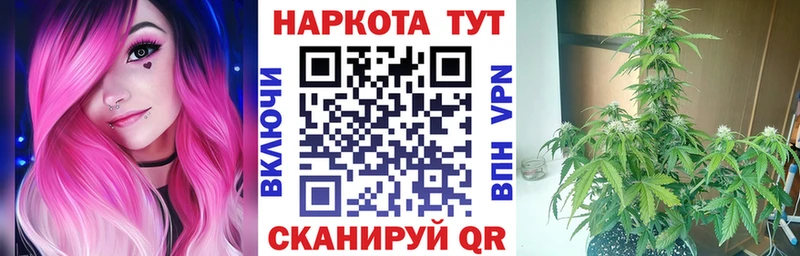 Продажа наркотиков Шахунья Кокаин Гашиш Codein Марихуана