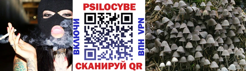 хочу наркоту  Шахунья  Галлюциногенные грибы мицелий 
